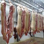 POSAO U NEMAČKOJ POSAO MESAR potrebni mesari za obradu svinjskog mesa, poslodavac pruža pomoć oko sređivanja viza