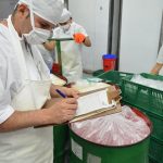 Posao u Holandiji – proizvodnja sira – pakovanje – 4 slobodna mesta