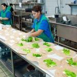 POSLOVI U NEMACKOJ – Potrebna POMOĆNA RADNICA U KUHINJI – poslodavac obezbeđuje besplatan smeštaj i hranu